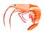 Seafood